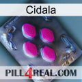 Cidala 02